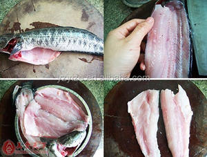 เครื่องขูดฆ่าปลานิลอัตโนมัติ,เครื่องขูด<span class=keywords><strong>เกล็ด</strong></span>ปลาแซลมอนเครื่องแยกกากท้อง - Product Image 6