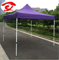 Tente commerciale de chapiteau de salon commercial extérieur professionnel