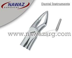 Pince d'extraction de dents Fig51 A Top Meilleure qualité Produits de logo personnalisé Instruments dentaires en acier inoxydable de haute qualité - Product Image 2