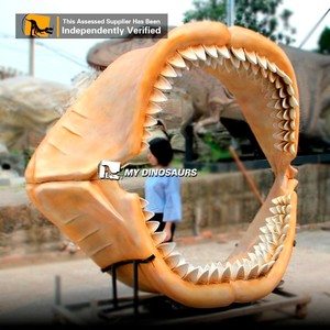 Modèle de squelette de mâchoire de <span class=keywords><strong>mégalodon</strong></span> géant incroyable MY DINO à vendre - Product Image 2