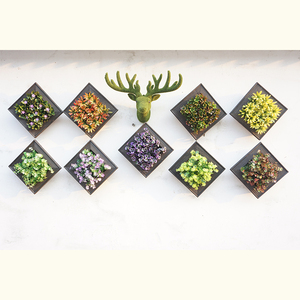 Decorativas al por mayor ciervos cabeza foto madera marco plantas suculentas Frames Set - Product Image 6