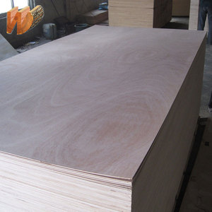 Contreplaqué de bouleau, épaisseur 18 mm - Product Image 3