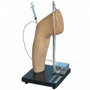 Elbow cavity injection model for teaching in the medicine - Product Image 1