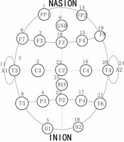 Gel de Electrodos de Pasta de Alta Conductividad Greentek GT10 para EEG, EMG, <span class=keywords><strong>EOG</strong></span>, PSG, ERP - Product Image 5