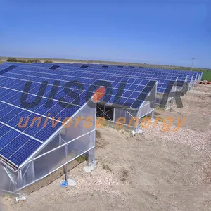 China customized solar industrial tomato / mushroom greenhouse