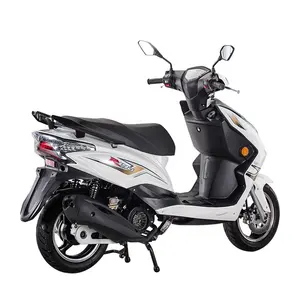 新产品最受欢迎的成人气体摩托车 125CC/150CC 摩托车滑板车