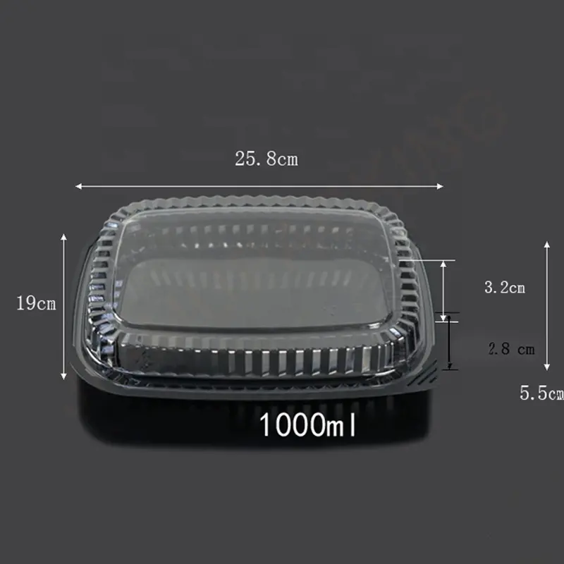 Disposable plastic take away sushi food packaging box