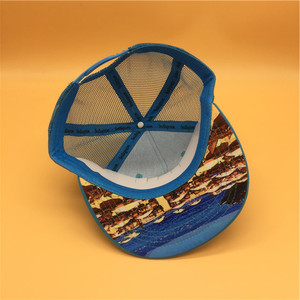 맞춤형 3D 자수 폴리에스터 스냅백 모자에게 오신 것을 환영합니다 - Product Image 6