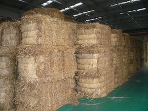Déchets agricoles bon marché de paille de riz de haute qualité du Vietnam pour l'alimentation animale - Product Image 2