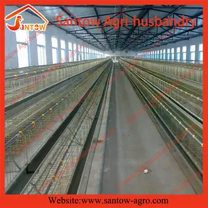 סנגל סוללה עוף בית כלוב שכבה תוכנן המחיר הנמוך ביותר עוף למכירה (מפעל גואנגזו)