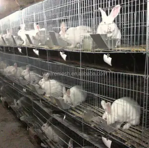 Thỏ nuôi Lồng/Hàn thỏ lồng dây lưới/Thỏ lồng Lớp 10 sinh thái thân thiện sản phẩm mới 2020 nhà sản xuất cung cấp