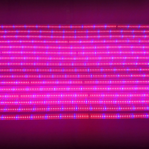 15W 18W 20W quang phổ đầy đủ <span class=keywords><strong>UV</strong></span> dẫn phát triển <span class=keywords><strong>b</strong></span>óng đèn cho Nhà kính <span class=keywords><strong>b</strong></span>ảo hành 5 năm cho nở - Product Image 5