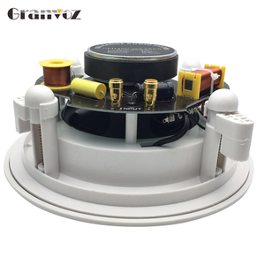 Thụ Động 2-Cách 5/6/8Inch Không Có Vành <span class=keywords><strong>Hi</strong></span> <span class=keywords><strong>FI</strong></span> ABS Trần Loa Với Crossver Pa Hệ Thống Trần Treo Loa - Product Image 5