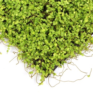 カーペットマットロール人工プラスチックモス装飾用 - Product Image 1