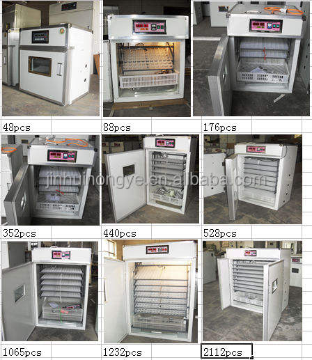 chicken eggs incubator