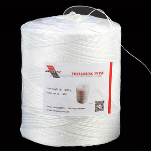 温室塑料绳包装PP打包机麻线番茄挂绳 - Product Image 3