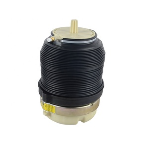 Resorte de suspensión neumática trasera para bolsas de aire A6C6 Airmatic Strut 4F0616001 4F0616001J - Product Image 6