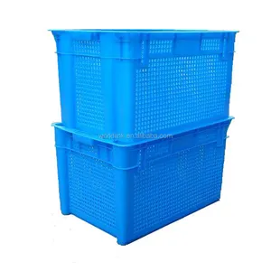 60kgs Blue Plastic Box of Vegetable