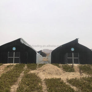 Nấm phát triển nhà kính thiết kế hiện đại <span class=keywords><strong>farming</strong></span> - Product Image 5