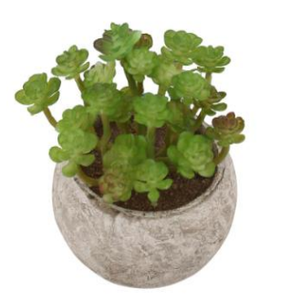 Déco maison de haute qualité mini Papier Mâché pâte <span class=keywords><strong>gris</strong></span> artificiel en pot d'aloès plantes succulentes - Product Image 6