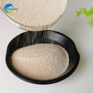 Poudre <span class=keywords><strong>de</strong></span> nvme riche en vitamine B, vitamine B, lycra, bière, cartilage, aliments bruts, soin <span class=keywords><strong>de</strong></span> l'épiderme, poudre tricodéboîte - Product Image 3