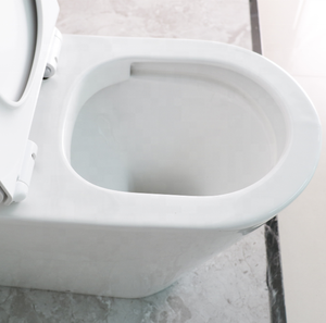 Cuenco higiénico de cerámica de dos piezas, artículos sanitarios de lujo, fabricante de China - Product Image 5