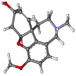 Alta calidad Kosher GMP Natural <span class=keywords><strong>Lycoris</strong></span> <span class=keywords><strong>Radiata</strong></span> extracto galantamina bromhidrato - Product Image 2