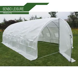 Poly Tunnelgreenhouse Thiết Bị Làm Vườn Tunnel Serre Cà Chua Nhà Kính