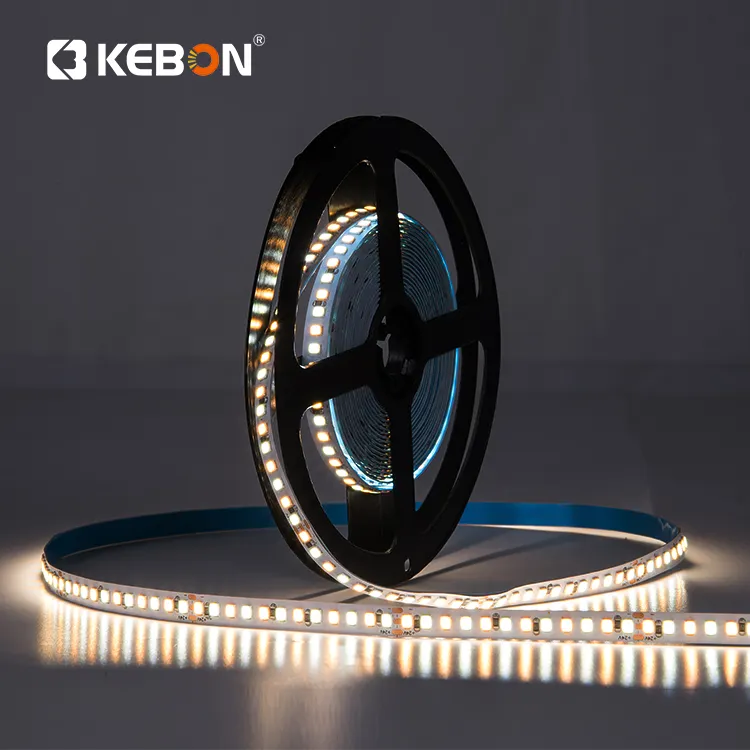 High Lumen Ultra bright two color smd2835 led strip 192leds 24V led tape light