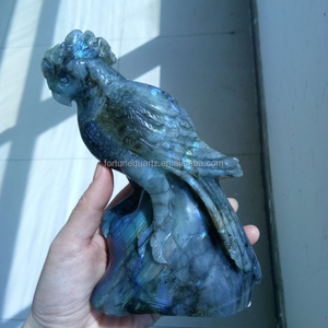 Labradorite Vẹt Pha Lê Đá Quý Chạm Khắc Động Vật Pha Lê Thủ Công - Product Image 3