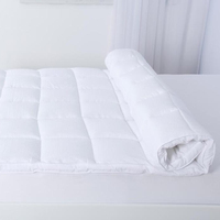 2 Zoll Zwickel Königin Gänse daunen Matratze Topper Feder bett verblüfft
