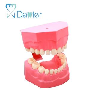 Attraente Prezzo Dentale Toothbrushing Modello Dimostrativo per Scuola Dentale