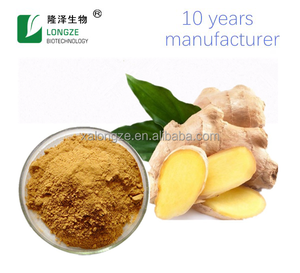 Curcumine de qualité alimentaire Offre Spéciale 95% forme de poudre d'extrait de curcuma naturel bouteille/tambour/récipient en plastique pour suppléments à base de plantes - Product Image 2