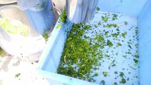 Loại bàn Gừng vắt nước trái cây/chất lượng cao gừng <span class=keywords><strong>juice</strong></span> ép/nước trái cây máy - Product Image 5