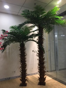 <span class=keywords><strong>Palmier</strong></span> <span class=keywords><strong>Phoenix</strong></span> <span class=keywords><strong>en</strong></span> <span class=keywords><strong>pot</strong></span> noir brillant Tubus, grande plante d'intérieur - Product Image 2