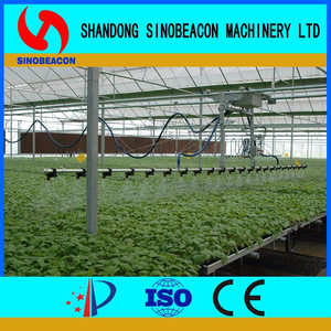 Porcellana <span class=keywords><strong>di</strong></span> Buona Qualità Fruit Tree Nursery Fornitore Produttore - Product Image 5