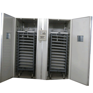 8448 completamente automatico grande uovo di gallina incubatore <span class=keywords><strong>per</strong></span> struzzo anatra oca tacchino rettile e Emu 220V SSD incubatore - Product Image 3