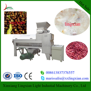 Lichi, rambután, Longan Semillas Máquina Separadora 2-3 t/h máquina <span class=keywords><strong>de</strong></span> Pelado y picado <span class=keywords><strong>de</strong></span> Lichi - Product Image 3
