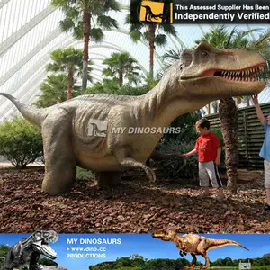 MY Dino-Alibaba golden supplier, анимационный динозавр t-rex