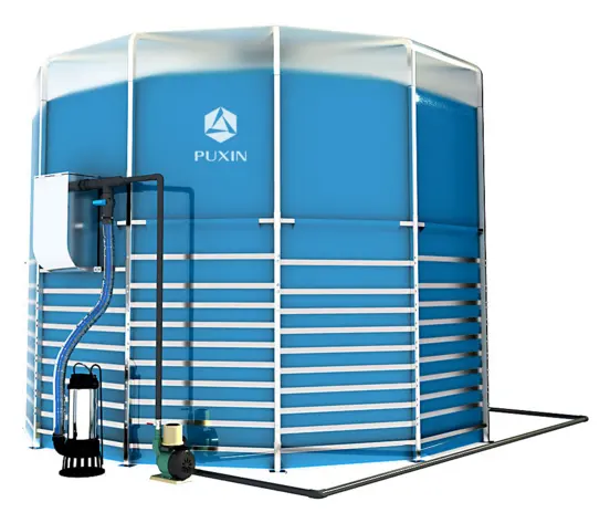 Centrale elettrica del Biogas dell'azienda agricola del digestore del Biogas del digestore del metano della cina PUXIN