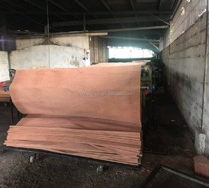 <span class=keywords><strong>Impiallacciatura</strong></span> di Legno Gurjan Tagliata Rotazionalmente 4x8 Indonesiano per Edifici per Uffici - Product Image 2