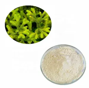 100% 天然 Lycopodium 孢子粉，用于帮助 Combust