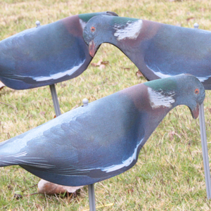 Vườn EVA mềm chim bồ câu vỏ săn mồi sơn gỗ chim bồ câu săn bắn bắn toàn thân + dính di chuyển - Product Image 2