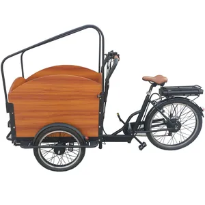 2019 électrique <span class=keywords><strong>cargo</strong></span> vélo <span class=keywords><strong>cargo</strong></span> vélo électrique; 3 roues 36v <span class=keywords><strong>cargo</strong></span> <span class=keywords><strong>e</strong></span> vélo EN15194 tricycle de cargaison; EN15194 3 roues vélo électrique - Product Image 1