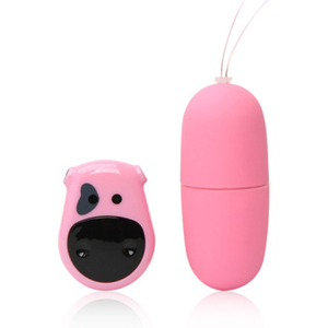 Vibrating Eggs & Bullets - USB Rechargeable 10 Speed