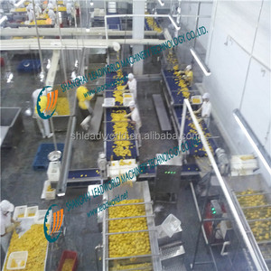 China <strong>Brand</strong> Automatic Peach Fruit Canning Machine