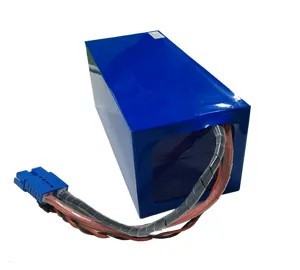 72V 30Ah LiFePO4 electric bike battery lithium power battery for 3000w motor tricycle with charger