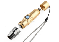 365nm 500mah batterie intégrée Rechargeable torche lumière noire USB LED UV lampe de poche