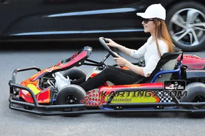 Chinese 300cc racing go kart karting cars voor koop gemaakt in Zhejiang