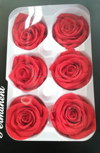 Más bienvenidos decoración de gama alta regalo al por mayor flor preservada rosa - Product Image 3